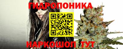 каннабис Пенза
