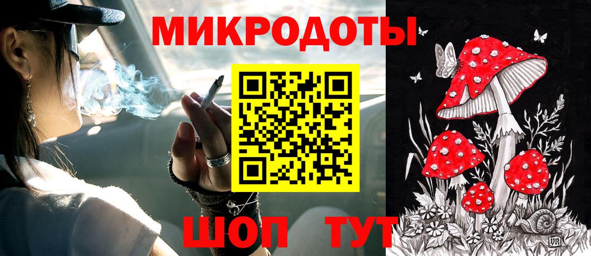 Галлюциногенные грибы прущие грибы  где купить наркоту  Сегежа  Вход с VPN  Псилоцибиновые грибы мицелий 
